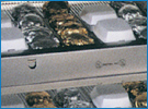 FHB-48